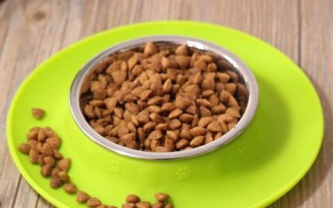 狗粮价格排行榜(公认十大最好的狗粮)