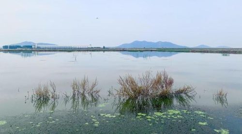 怀远景点排行榜(蚌埠必去的5个景点)插图12