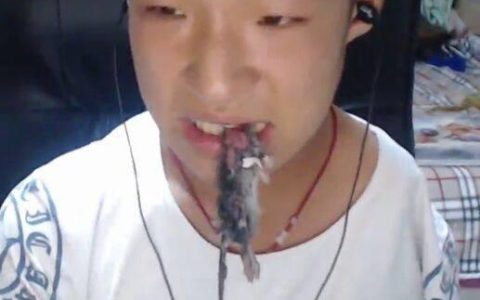 东北在快手排行榜(快手前三十名排行榜最新)