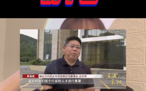 襄阳富豪排行榜(湖北襄阳第一女首富)