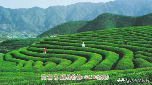 世界十大茶叶品牌排行榜最新(世界顶级茶叶品牌排行榜前十名)插图7