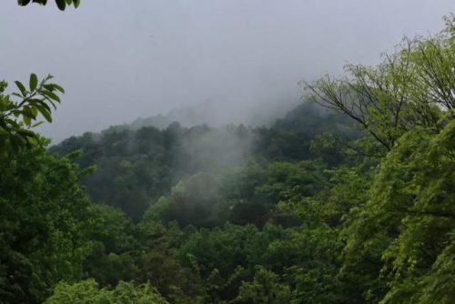 杭州佛教餐厅排名前十(杭州佛教圣地的排名)插图36