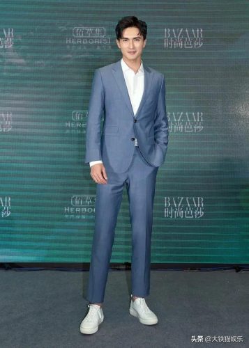男星身高排行榜(身高190以上男明星)插图9