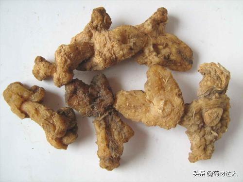 黄精的产地(黄精产地哪里的最好)插图3