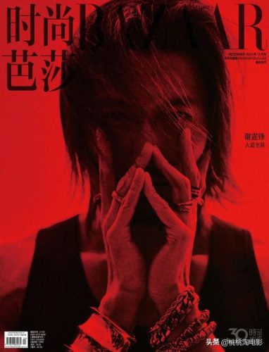 谢霆锋影帝(谢霆锋是哪一届拿的影帝)插图