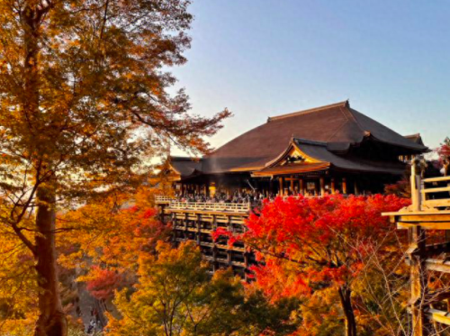 名古屋十大景点排行榜(名古屋十大人气景点)插图20