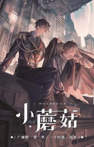 唯美小说排行榜男男(最经典穿越小说排行榜)插图