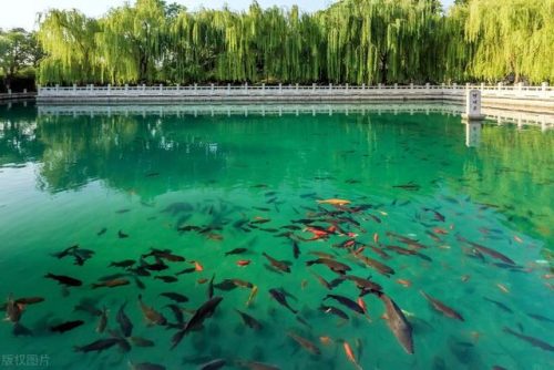 济南好玩的地方排行榜(济南打卡必去的地方)插图27