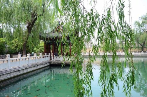 济南好玩的地方排行榜(济南打卡必去的地方)插图28