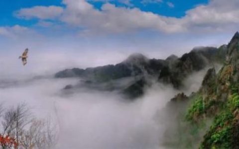 坚韧的拼音(坚韧的词语解释)