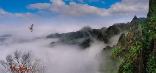坚韧的拼音(坚韧的词语解释)插图