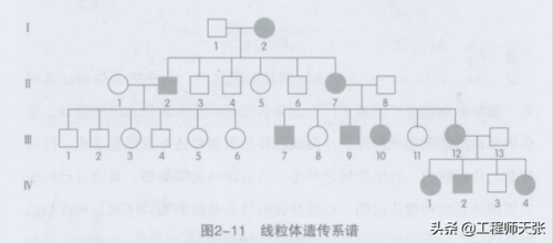 杭州杀妻案细节(杭州妻子消失案全过程)插图8