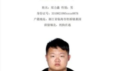 网上通缉(如何查网逃名单)