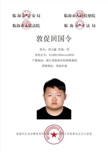 网上通缉(如何查网逃名单)插图