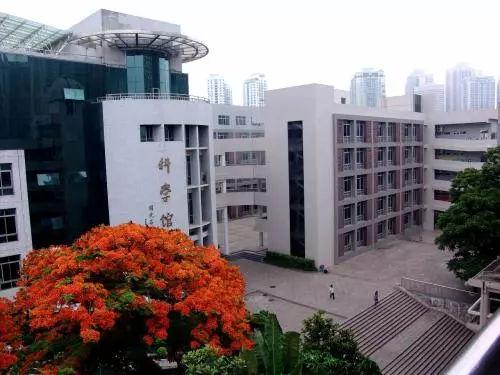 深圳课程学校排名前十(深圳学校排名一览表)插图