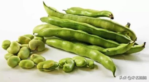 含胆碱高的食物排行榜(富含胆碱的食物一览表)插图8