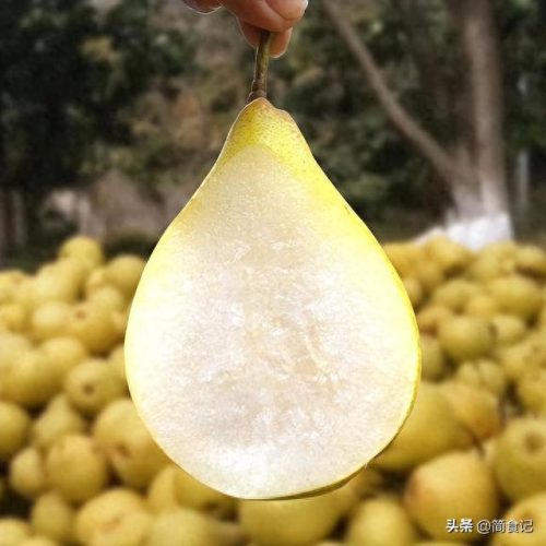 常州黄花梨厂家排名前十(黄花梨直播)插图9