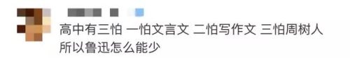 鲁迅文章退出语文教材(语文课本没有鲁迅)插图4