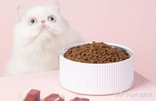 简叔猫粮排行榜(10大猫粮品牌排行)插图1
