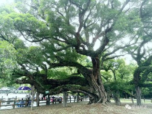 福州最高景点排名前十(福州旅游攻略景点必去)插图6