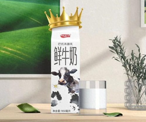 中国十大名牌汽水排行榜(十大最好汽水排名)插图18
