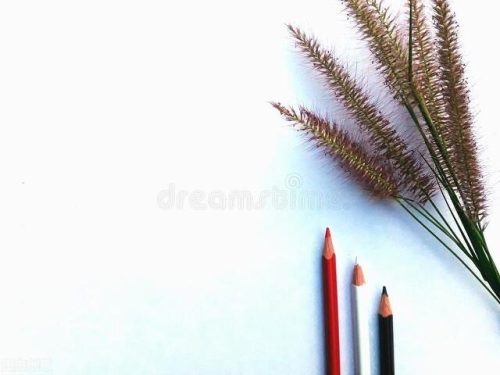 书空是什么意思(书口是什么意思)插图3