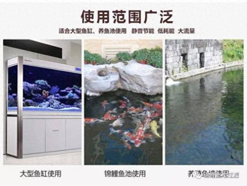 鱼塘水泵十大排行榜(水泵十大厂家排名)插图2