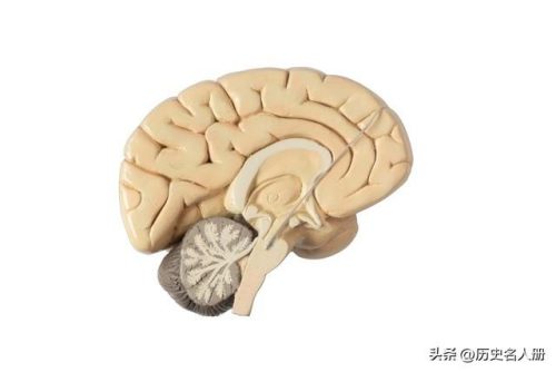 太原人流医院排行榜(山西省太原市妇科医院哪个医院好)插图