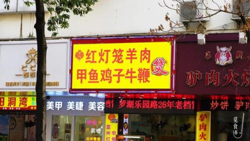 深圳甲鱼煲排名前十(深圳甲鱼价格多少一斤)插图10