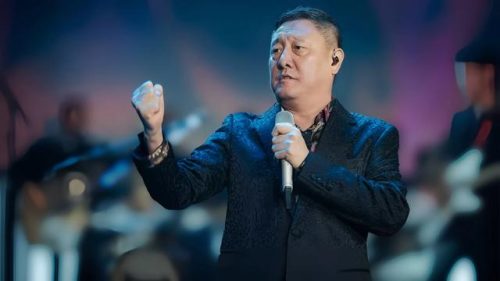 唱功排行榜(中国公认唱功第一人)插图23