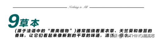 男士十大香水品牌排行榜(十大顶级男士香水)插图46