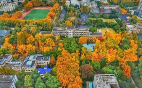 南京的大学排行榜(南京本科大学排名一览表)