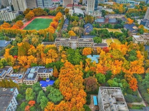 南京的大学排行榜(南京本科大学排名一览表)插图