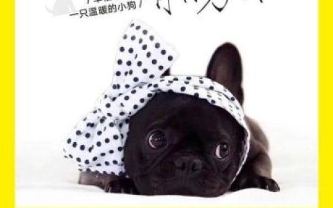 狗狗书籍总排行榜(书犬)