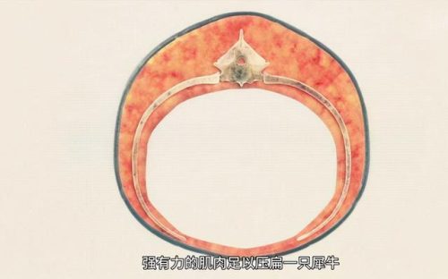 巨型泰坦(五大泰坦人)插图2