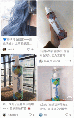 莎纳洗发水排行榜(全国洗发水排名前十)插图13