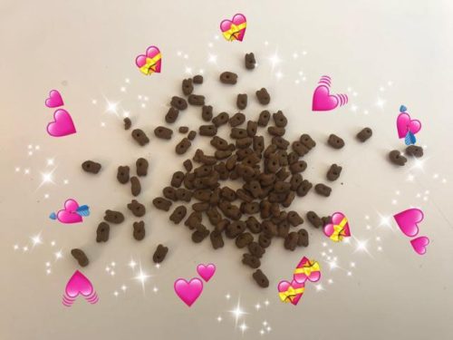 提莫猫粮排行榜(顽皮猫粮是毒粮吗)插图1