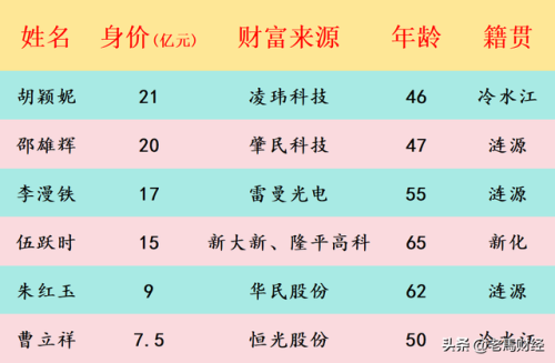 娄底富豪排行榜(娄底十大首富名字)插图11