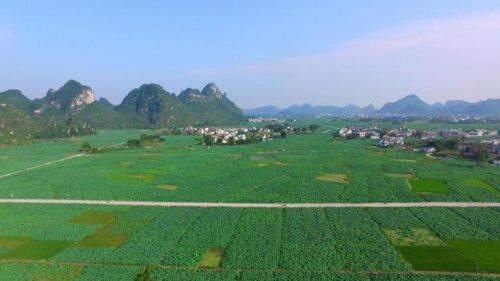 乐陵景点排行榜(乐陵市最著名的景点)插图1