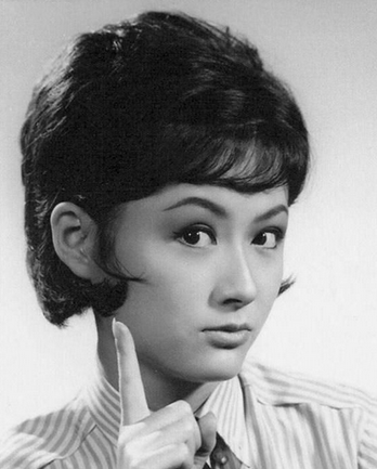 女演员排行榜台湾(台湾十大最美女明星)插图