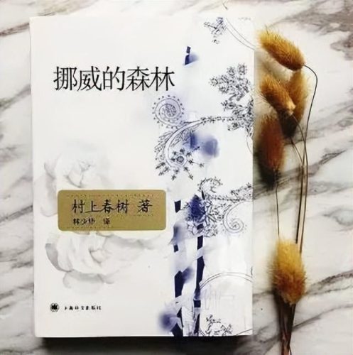 爱情小說排行榜(春风一度共缠情免费读)插图3