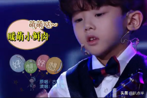 小男明星排行榜(内地小童星演员男)插图2