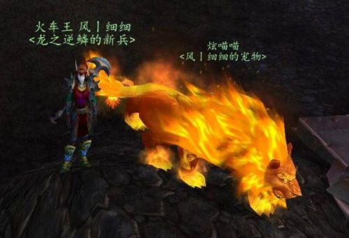 魔兽术士宝宝排名前十(魔兽60术士团本天赋)插图4