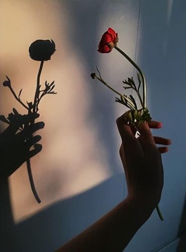 东洋之花护手霜排行榜(日本护手霜排行榜10强)插图37