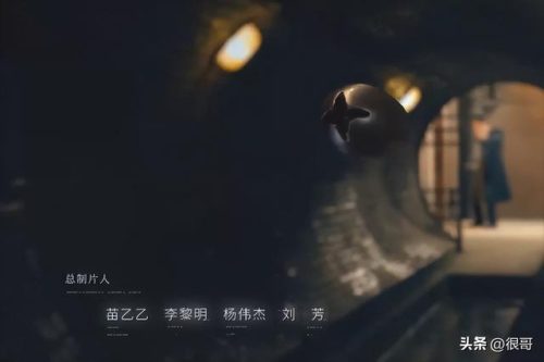 奇道个人资料(奇道演的电视剧有哪些)插图23
