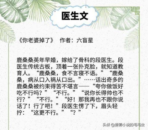 医生类小说排行榜(主角是外科医生的小说)插图8