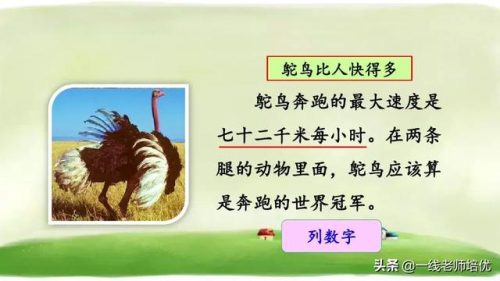 俯冲的近义词(府冲近义词是动词吗)插图9