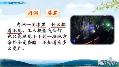 鹃的拼音和组词(鹃什么词语)插图53