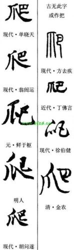 爬是什么结构(爬属于半包围结构吗)插图6