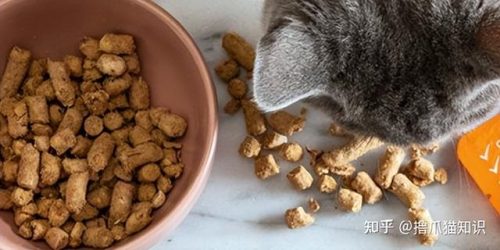 简叔猫粮排行榜(10大猫粮品牌排行)插图5